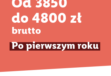 Od 3850 do 4800 zł brutto/mies. po pierwszym roku