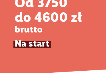 Od 3750 do 4600 zł brutto/mies. na start